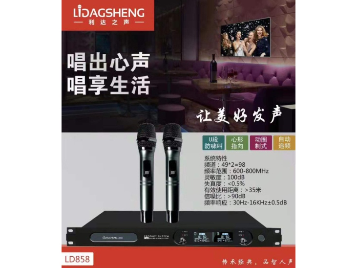 利达之声 LD-858 娱乐话筒 