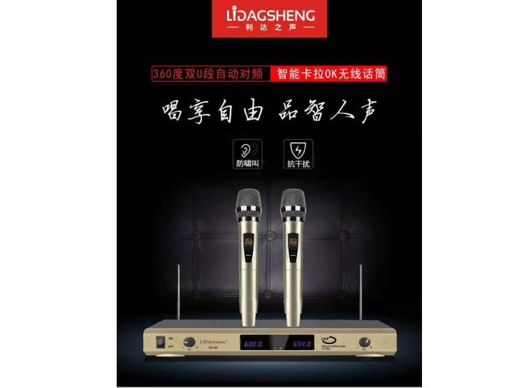 利达之声 LD-862 特价话筒