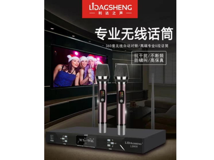利达之声 LD-868 娱乐话筒