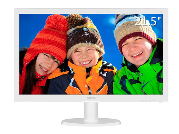 飞利浦（PHILIPS）21.5英寸 办公显示器 1080P高清 VGA+DVI 爱眼低蓝光不闪屏 可壁挂 电脑显示屏 223V5LSW