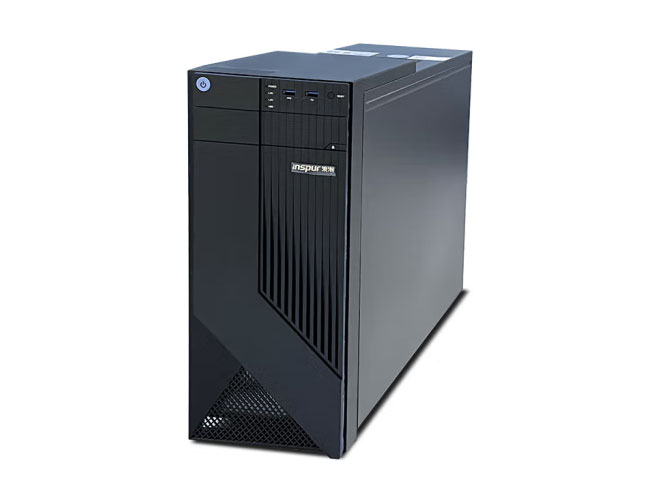 浪潮（INSPUR）NP3020M5丨塔式服务器主机电脑丨 至强E-2224 四核3.4GHz 16G内存｜ 2块4T硬盘｜阵列卡