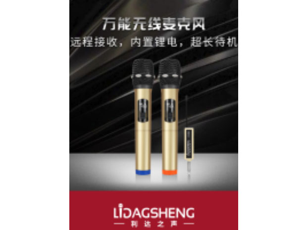 利达之声 LD-910B（双咪）万能无线麦克风