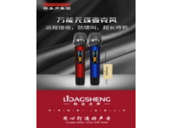 利达之声 LD-915 双 无线麦克风
