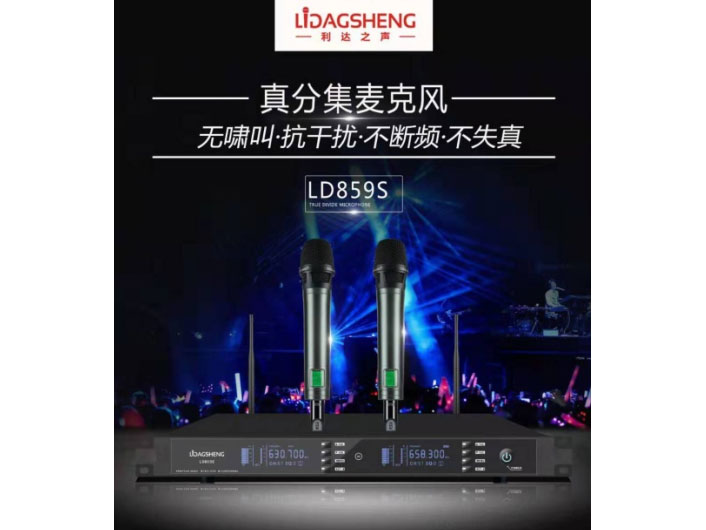 利达之声 LD859S 真分集演出 话筒
