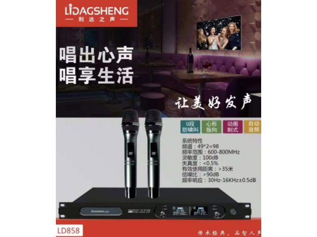 利达之声 LD-858   娱乐话筒