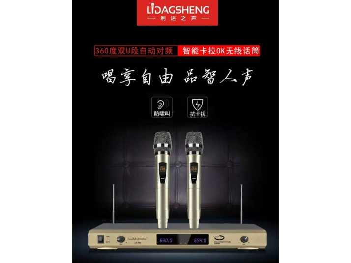 利达之声  LD-862 特价话筒