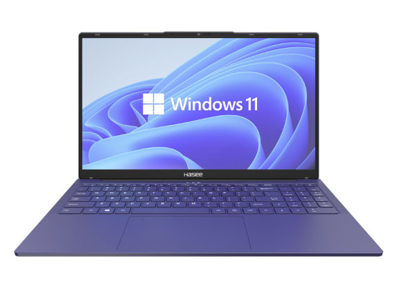 神舟  CNB5SN5  处理器：i5-12450H  32 GB DDR5-4800 MHz RAM内存  硬盘：1TB，支持M.2 2280 SSD  14英寸16:9 FHD1920 x 1080  核显 