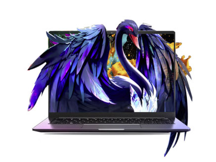 机械革命（MECHREVO） 无界14S I5-13500H 16GB 512G 60Hz 灰   
