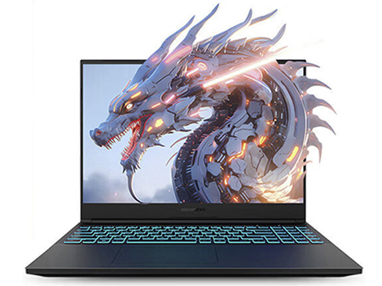机械革命（MECHREVO）  2024新款高性能满血游戏本  蛟龙16S R9-7940H 16G 512G RTX4060 8G   165HZ