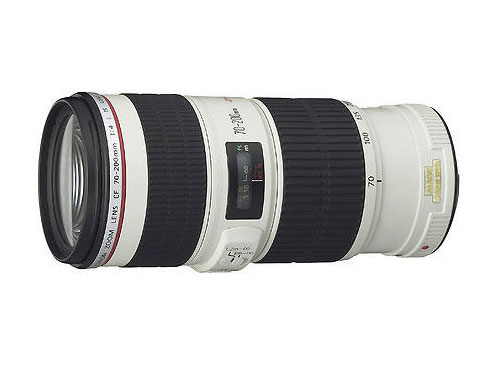 佳能 EF 70-200mm f/4L IS  镜头二代小白兔大白单反长焦人像远射