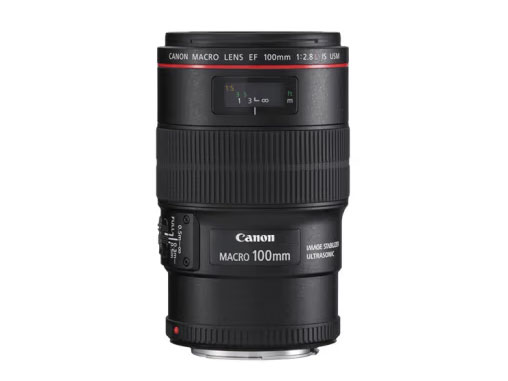 佳能（Canon） 佳能百微 ef100 2.8微距镜头全画幅 单反相机镜头