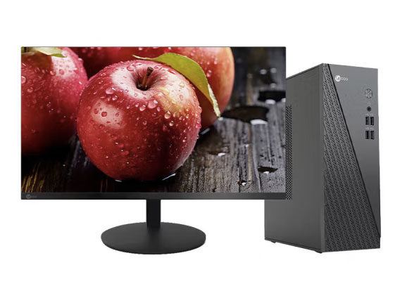 联想（Lenovo）  台式机电脑主机  来酷lecooD4000   N95赛扬4核心/8G/256GSSD/串口/WiFi/有线键鼠