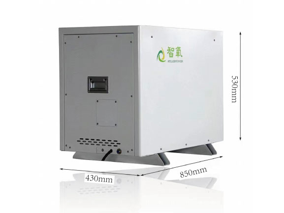 智氧  分布机Z D O - 1 . 2 / 2 0 L
1外观尺寸	850*430*580mm
2重量	约100KG
3流量	1.2Nm /h
4出氧压力  80-260kpa
5工作噪音  