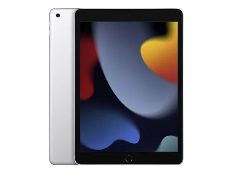 	Apple/苹果 iPad(第9代)10.2英寸平板电脑 2021年款(256GB WLAN版/MK2K3CH/A)深空灰/银