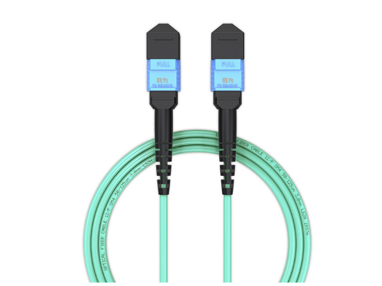 胜为 光纤跳线MPO母头12芯 3米 网线多模OM4万兆40G光模块集束光纤 FMPP-1203