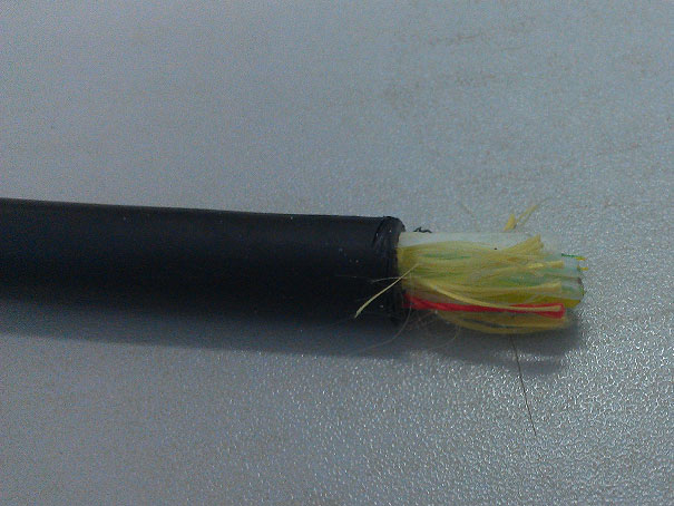 IMAG0083