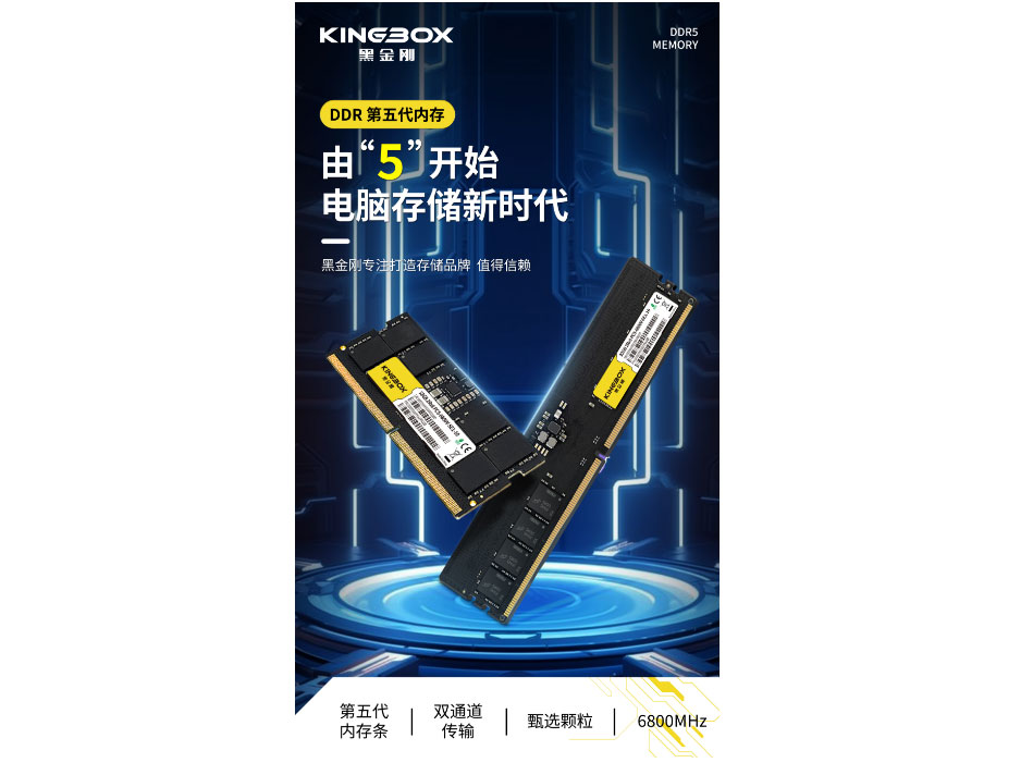 黑金刚  第五代双通道内存条传输 6800MHZ