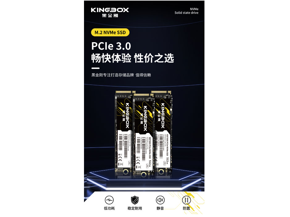 黑金刚  M.2 NVMe SSD PCle 3.0畅快体验 性价之选