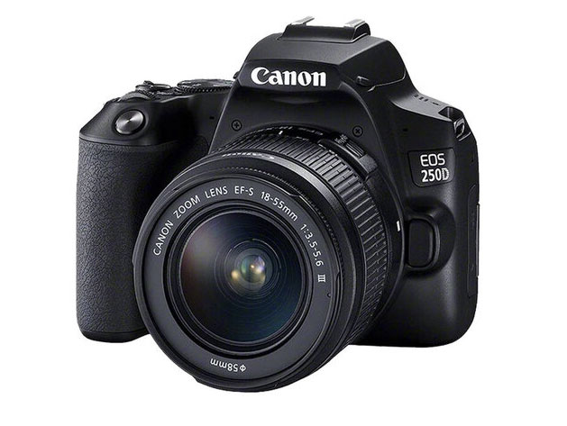 佳能（Canon）EOS 200D2 II 二代 单反相机 4K Vlog视频 家用便携高清美颜照相机 18-55mm标准变焦 旅行畅玩
