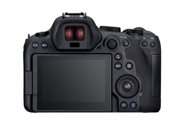佳能（Canon）EOS R6 Mark II R6二代 新标准全画幅微单相机R62 24-105 STM标准镜头套装