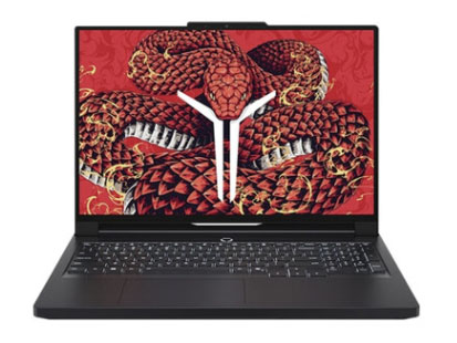 联想拯救者R9000P 2025 AI元启游戏笔记本电脑(锐龙9 8945HX 32G1T RTX5060 2.5K240Hz 黑)