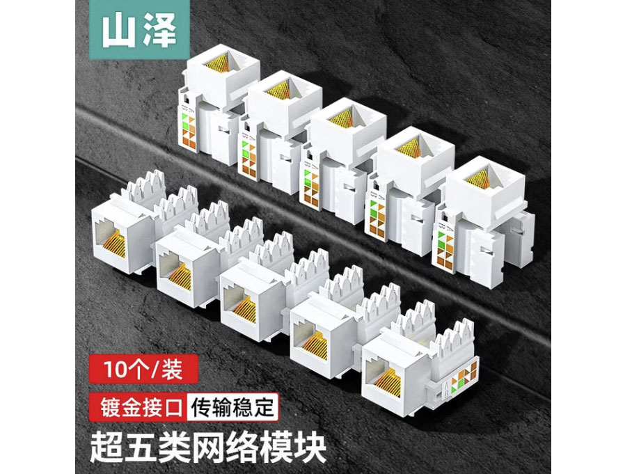 山泽网络模块 RJ45电脑网线插座面板五类六类七类网络电话面板加厚豪华 五类模块