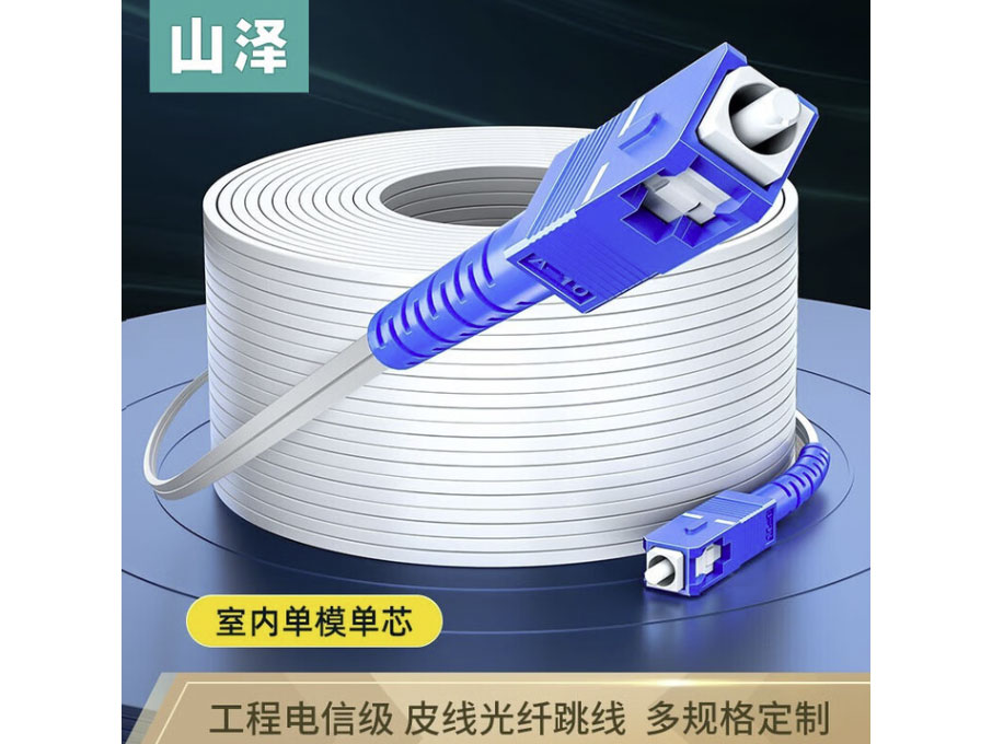 山泽皮线光纤跳线 SC-SC室外单模单芯/单模双芯 钢丝尾纤 低烟无卤网线光纤跳线 室内单模单芯 1芯2 
