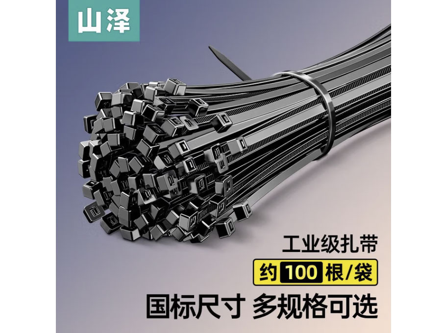 山泽 自锁式尼龙扎带 线缆电脑桌面装机 园艺理线束线捆扎多功能绑带自锁式 透明尼龙扎带 黑色【100*2.5mm】