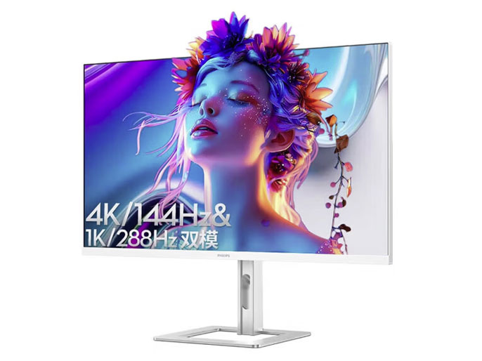 飞利浦（PHILIPS）27英寸4K IPS 10bit HDR400 TypeC65w 100%sRGB PIP/PBP智能分屏 升降旋转 专业设计屏 办公显示器 27E2N5900RW