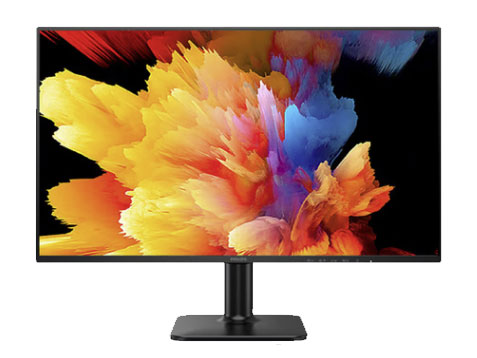 飞利浦（PHILIPS）23.8英寸 LGD-IPS 100Hz 全高清节能认证低蓝光显示屏 VGA/HDMI 商用办公电脑显示器 24E2N1110