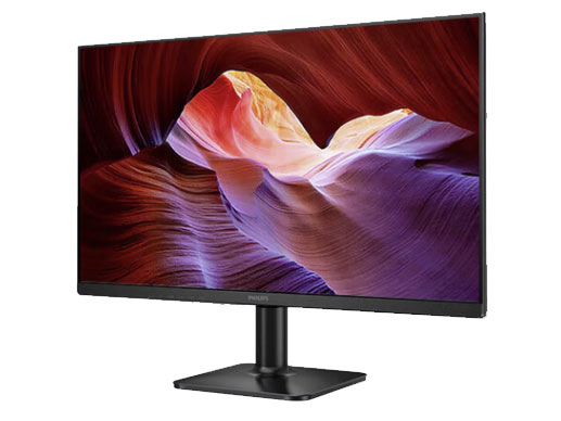 飞利浦（PHILIPS）23.8英寸 LGD-IPS 100Hz 全高清节能认证低蓝光显示屏 VGA/HDMI 商用办公电脑显示器 24E2N1100